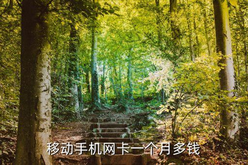 移動網(wǎng)卡，中國移動無線上網(wǎng)卡資費是多少