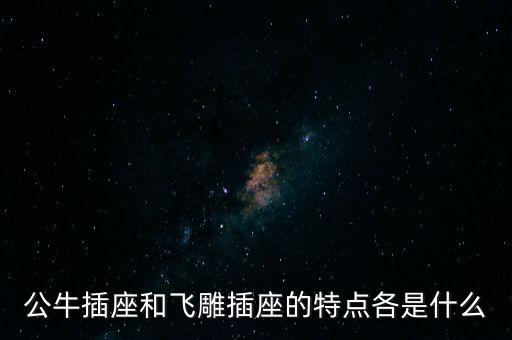 公牛插座和飛雕插座的特點(diǎn)各是什么