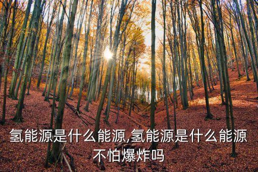 氫內(nèi)燃機(jī),燃料電池和氫內(nèi)燃機(jī)哪個(gè)成本高?