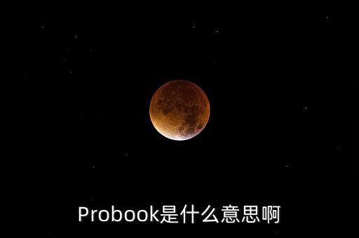 Probook是什么意思啊