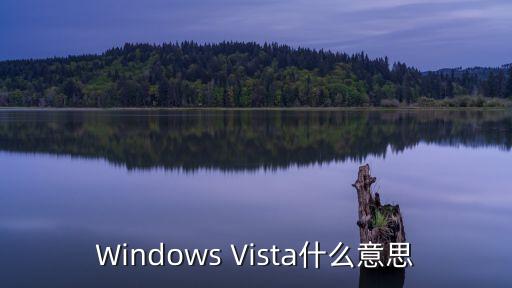 windowsvista，WINDOWS VISTA 是什么意識