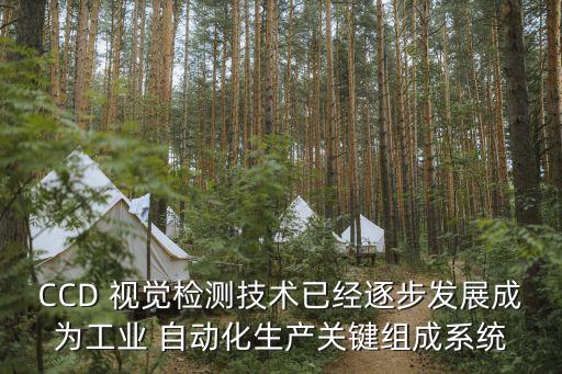 CCD 視覺檢測技術(shù)已經(jīng)逐步發(fā)展成為工業(yè) 自動化生產(chǎn)關(guān)鍵組成系統(tǒng)