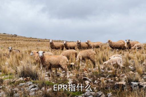 EPR指什么
