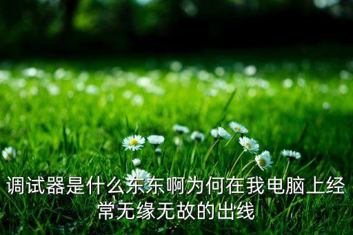 調(diào)試器是什么東東啊為何在我電腦上經(jīng)常無緣無故的出線