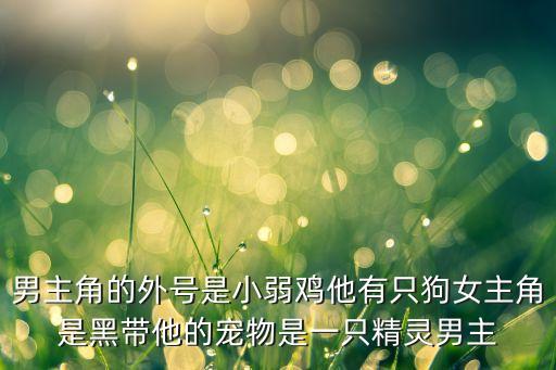 男主角的外號是小弱雞他有只狗女主角是黑帶他的寵物是一只精靈男主