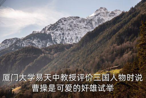 廈門大學(xué)易天中教授評(píng)價(jià)三國人物時(shí)說曹操是可愛的奸雄試舉