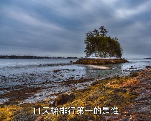 11天梯排行第一的是誰