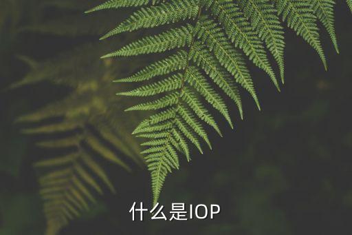 什么是IOP