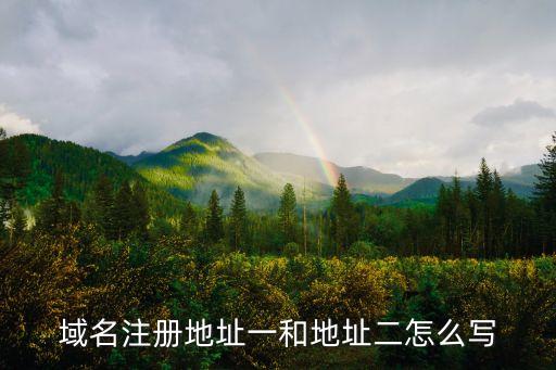 域名注冊(cè)地址一和地址二怎么寫