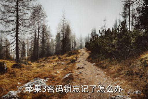 蘋果3，蘋果3密碼鎖忘記了怎么辦