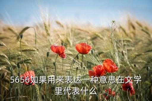 5656如果用來表達一種意思在文字里代表什么