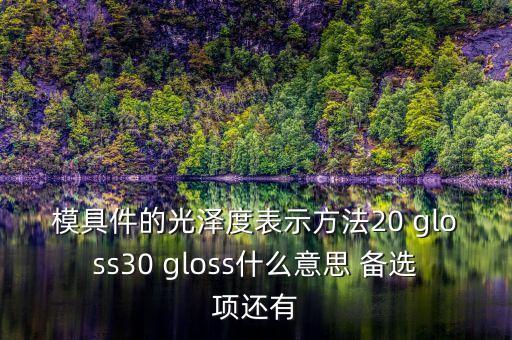 模具件的光澤度表示方法20 gloss30 gloss什么意思 備選項(xiàng)還有