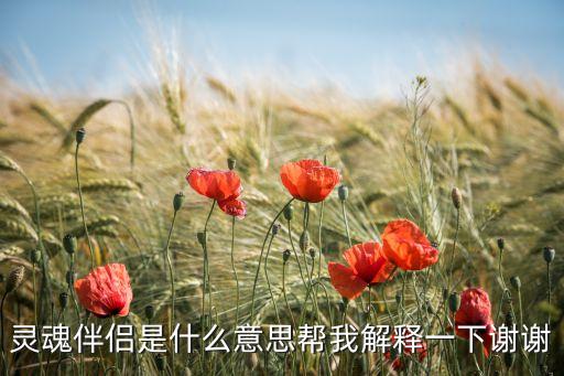靈伴，基督徒可以結(jié)靈伴嗎