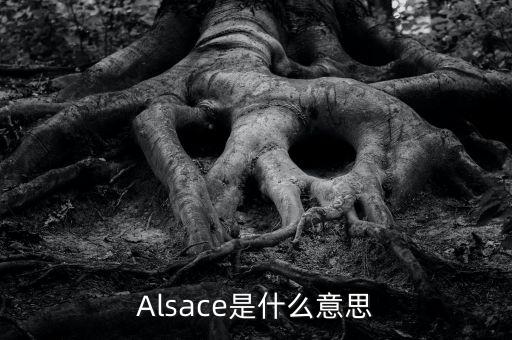 Alsace是什么意思