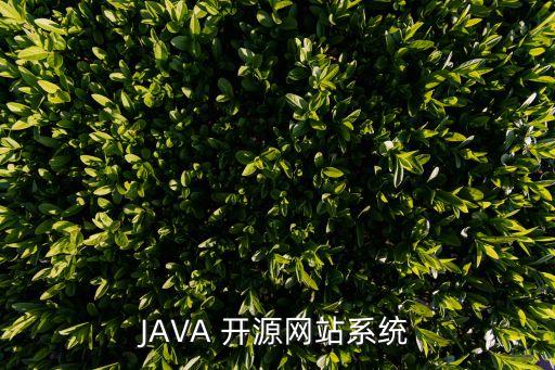 JAVA 開源網(wǎng)站系統(tǒng)