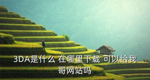 3da，3DA是什么 在哪里下載 可以給我哥網(wǎng)站嗎