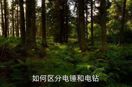 電錘和電鉆的區(qū)別，如何區(qū)分電錘和電鉆