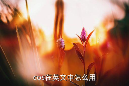 kaos，我KAOS 是個(gè)詞語嗎