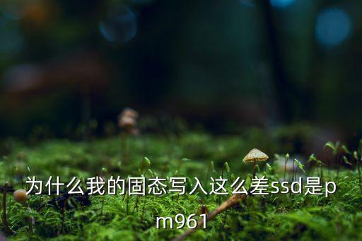 為什么我的固態(tài)寫入這么差ssd是pm961