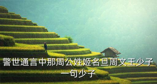 少子，警世通言中那周公姓姬名旦周文王少子一句少子