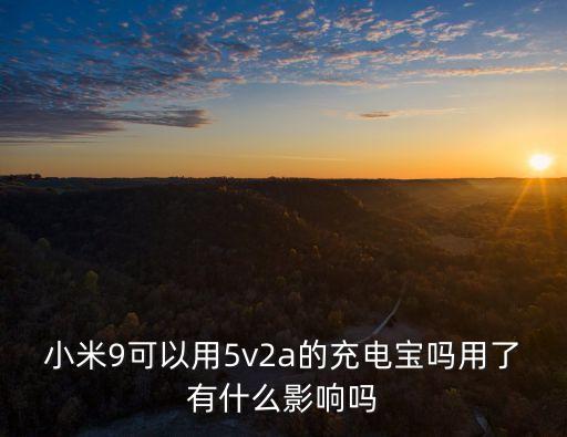 小米9可以用5v2a的充電寶嗎用了有什么影響嗎