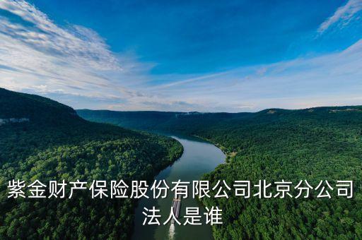 紫金財產(chǎn)保險股份有限公司北京分公司 法人是誰