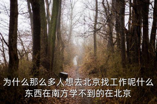 學在北京，在北京學什么技術好呢幫幫我啥