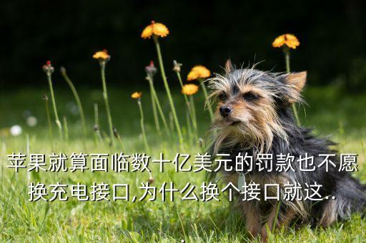 專利數(shù)據(jù)接口,怎么用數(shù)據(jù)線傳輸信息?
