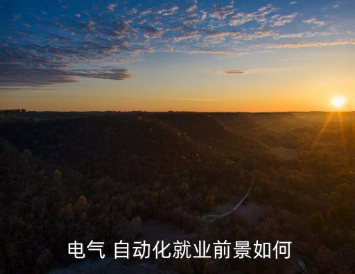電氣自動(dòng)化配件銷售怎么樣
