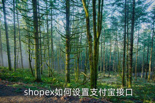  shopex如何設(shè)置支付寶接口