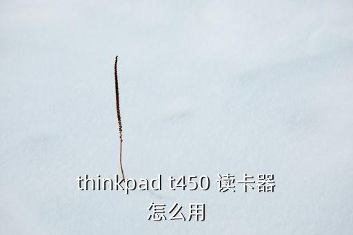 thinkpad t450 讀卡器怎么用