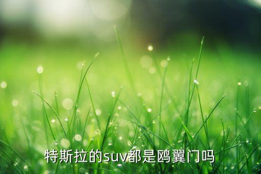 特斯拉的suv都是鷗翼門嗎