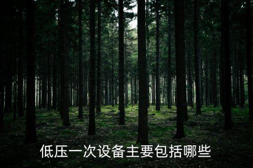 低壓一次設(shè)備主要包括哪些