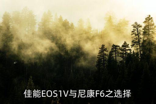 佳能EOS1V與尼康F6之選擇