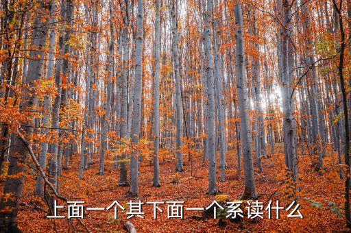 上面一個(gè)其下面一個(gè)系讀什么