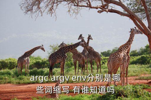 argc，argc argv env分別是哪些詞縮寫 有誰知道嗎