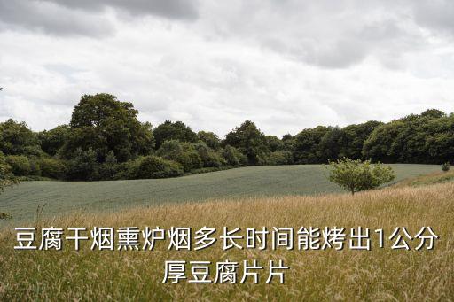 豆腐干煙熏爐煙多長時間能烤出1公分厚豆腐片片