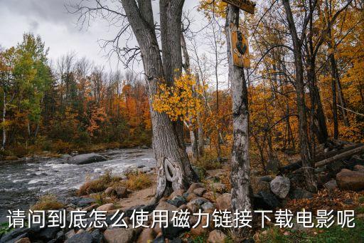 磁力鏈接怎么，請問到底怎么使用磁力鏈接下載電影呢