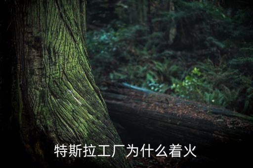 特斯拉起火，2013年特斯拉汽車起火有幾次