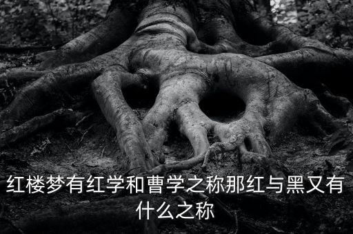 紅樓夢有紅學和曹學之稱那紅與黑又有什么之稱