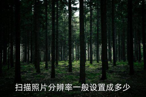 掃描分辨率，掃描照片分辨率一般設(shè)置成多少