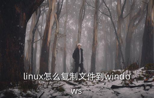 linux怎么復(fù)制文件到windows