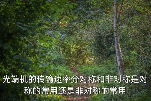 xgpon，XGPON是什么
