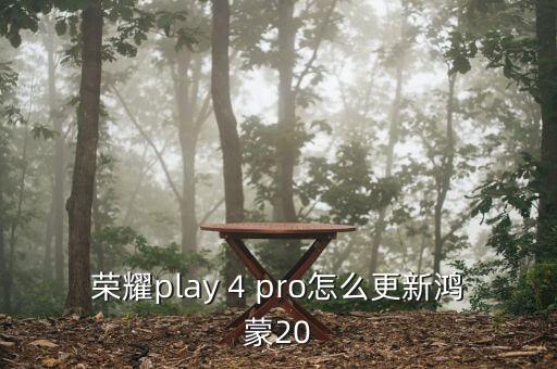 榮耀play 4 pro怎么更新鴻蒙20