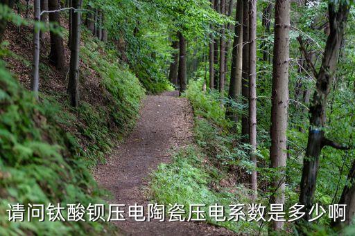 壓電系數(shù)，請(qǐng)問(wèn)鈦酸鋇壓電陶瓷壓電系數(shù)是多少啊