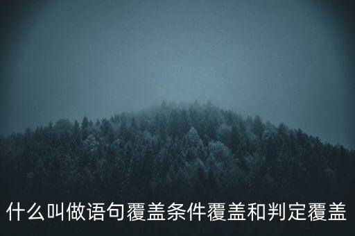 什么叫做語(yǔ)句覆蓋條件覆蓋和判定覆蓋