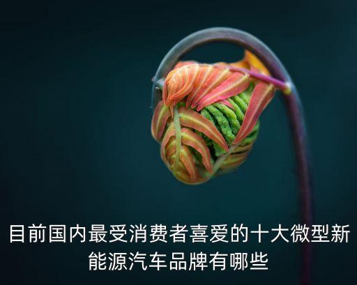 目前國(guó)內(nèi)最受消費(fèi)者喜愛(ài)的十大微型新能源汽車(chē)品牌有哪些