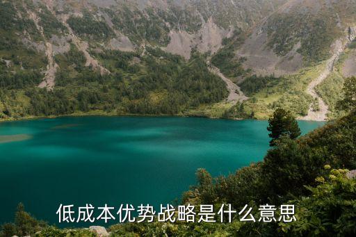 低成本優(yōu)勢戰(zhàn)略是什么意思
