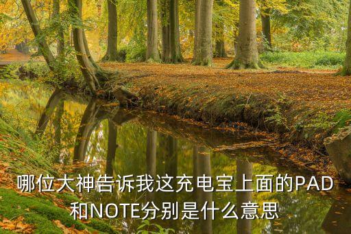 哪位大神告訴我這充電寶上面的PAD和NOTE分別是什么意思