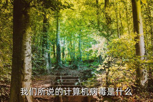 什么是計(jì)算機(jī)病毒，我們所說的計(jì)算機(jī)病毒是什么